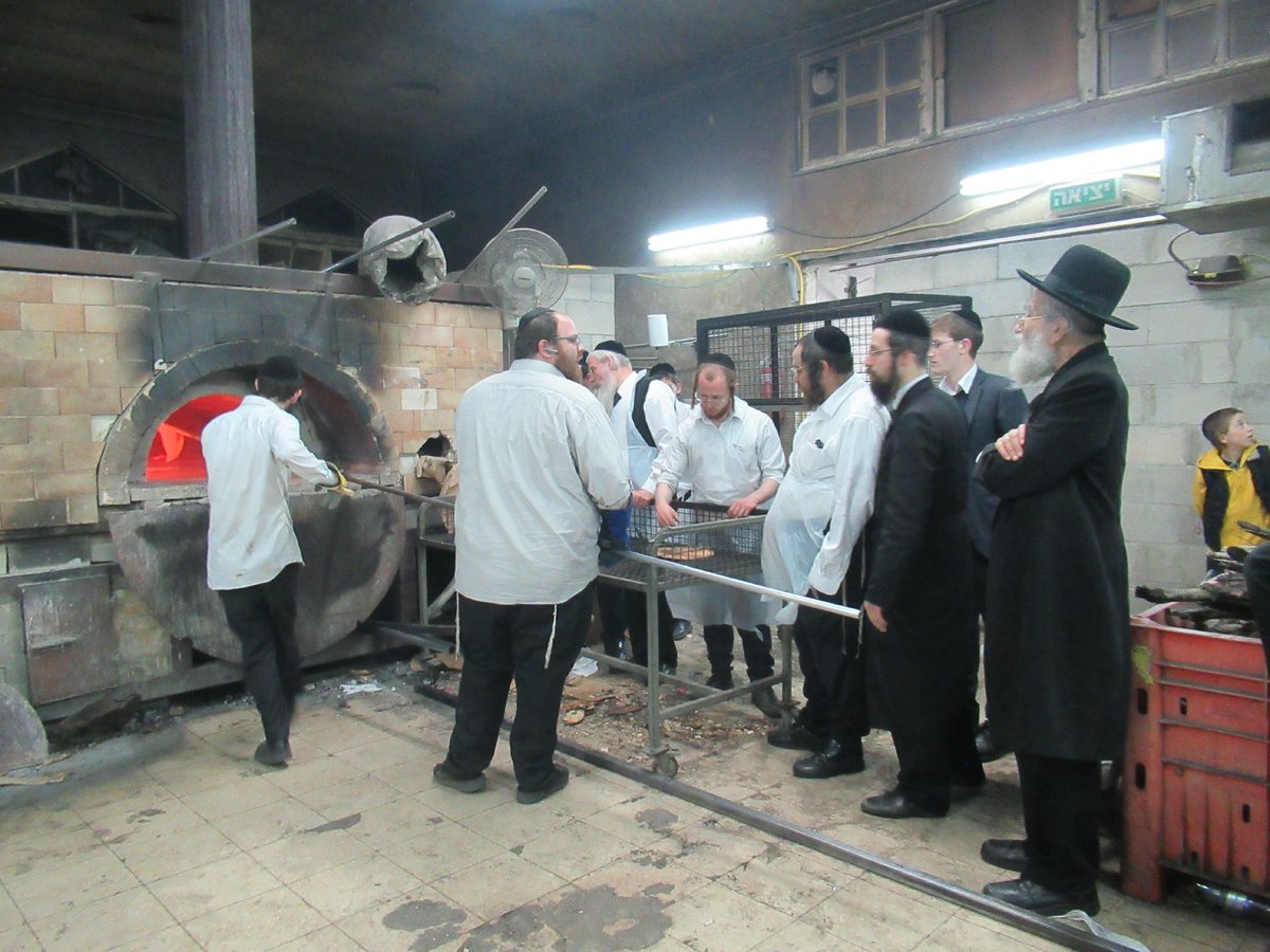 ה'חבורה' של פוניבז' באפיית מצות • תיעוד