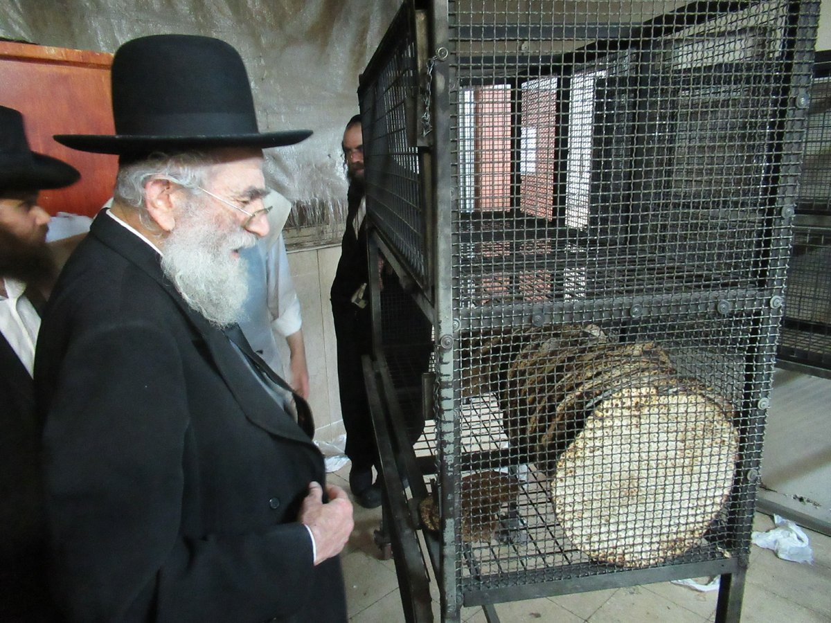 ה'חבורה' של פוניבז' באפיית מצות • תיעוד