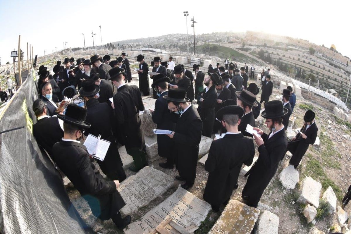 תיעוד: המונים בהילולת הרה"ק רבי גרשון מקיטוב זיע"א