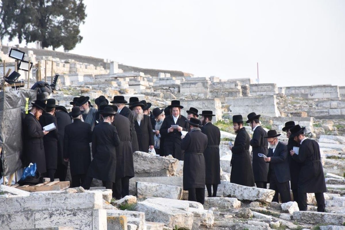 תיעוד: המונים בהילולת הרה"ק רבי גרשון מקיטוב זיע"א