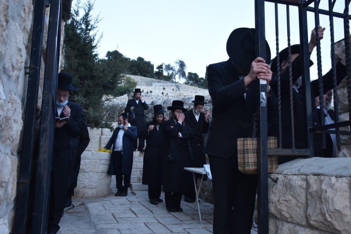 תיעוד: המונים בהילולת הרה"ק רבי גרשון מקיטוב זיע"א