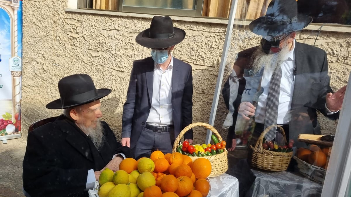 ברכת האילנות של הגרי"ג אדלשטיין; תיעוד