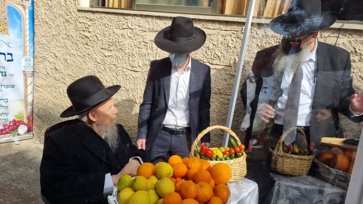 ברכת האילנות של הגרי"ג אדלשטיין; תיעוד