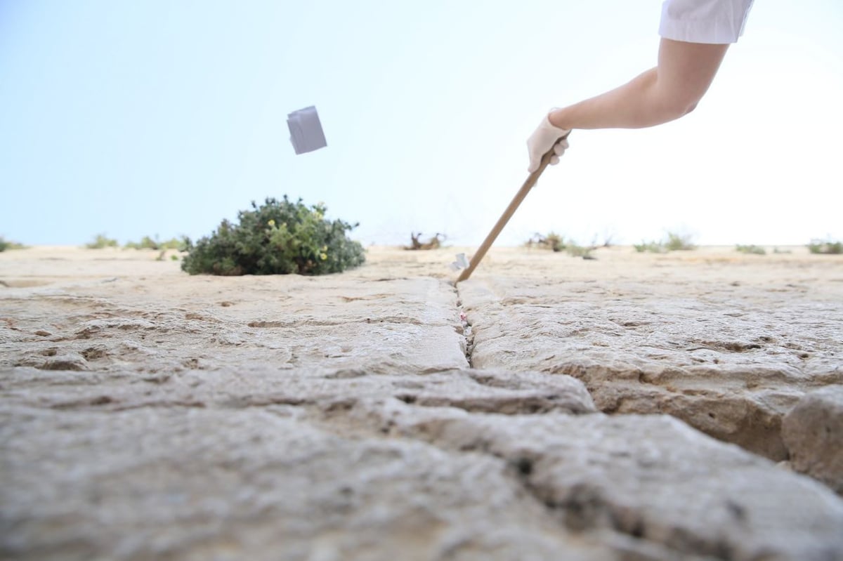 כמיטב המסורת: פינוי פתקי התפילה בכותל