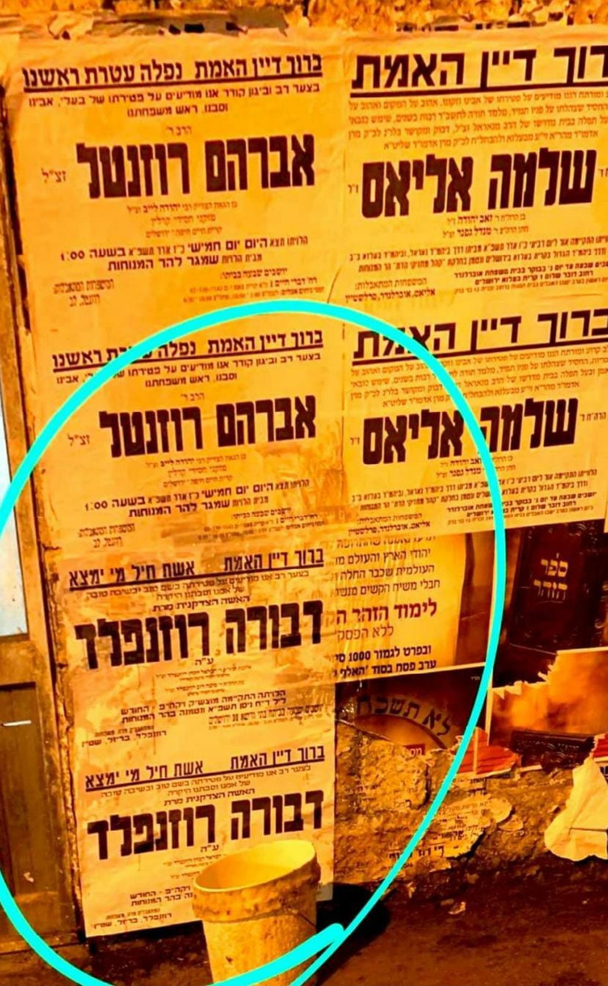 צילום מסך, מתוך הבקשה לביהמ"ש