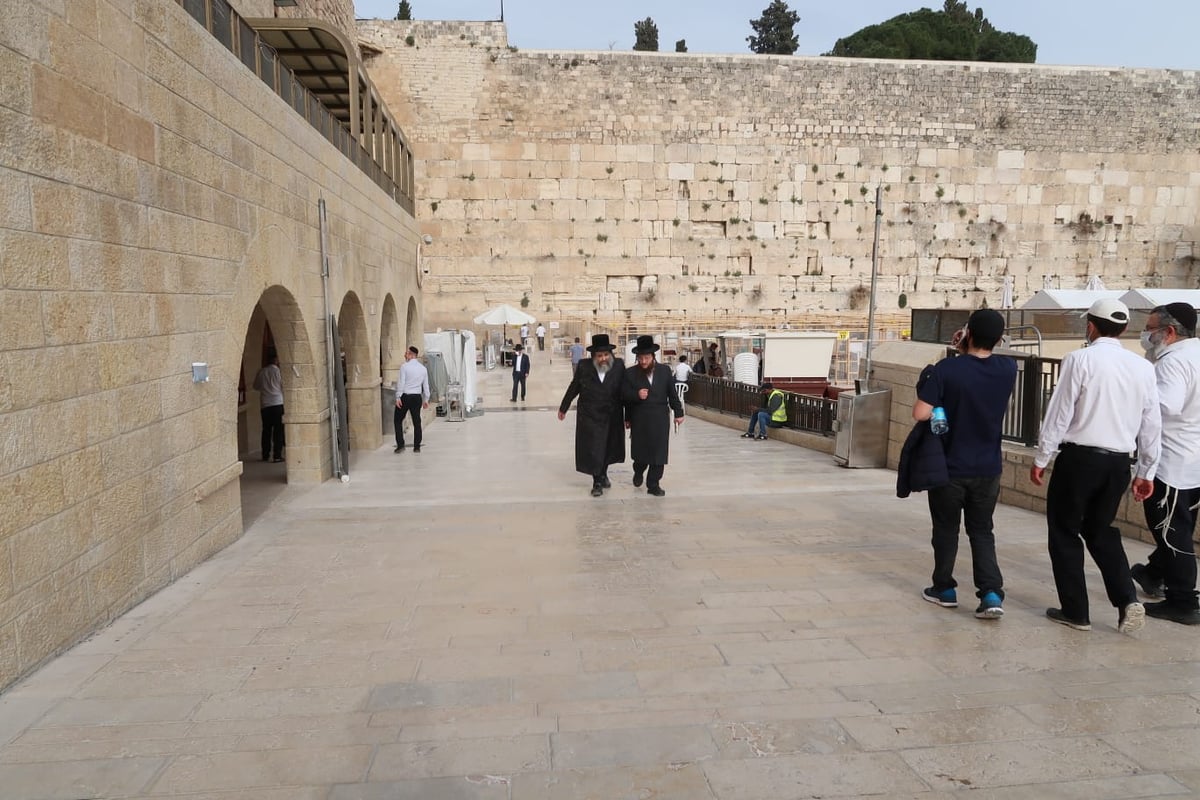 אב"ד ויז'ניץ בתפילה ובקריאת 'קוויטלאך' ברחבת הכותל