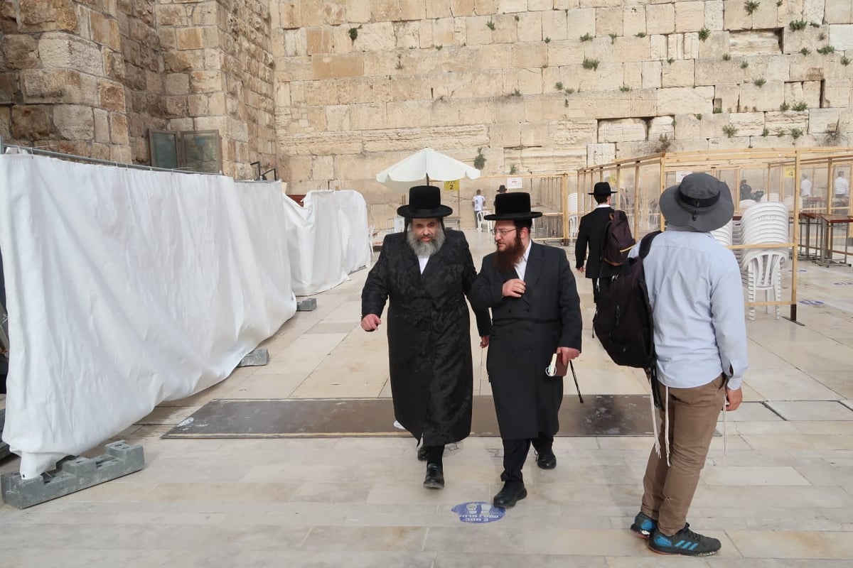 אב"ד ויז'ניץ בתפילה ובקריאת 'קוויטלאך' ברחבת הכותל