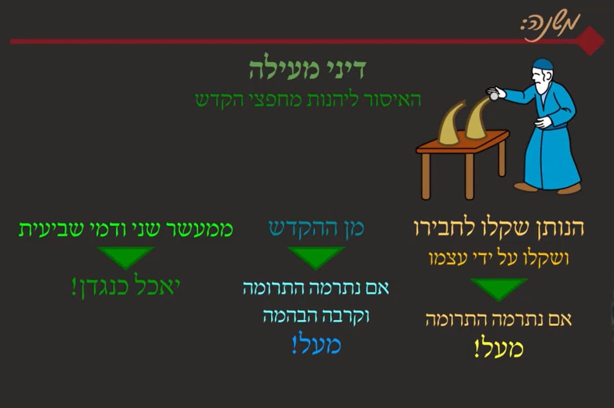 מסכת שקלים, דפים ה'-ו' • סיכום והמחשה של הדף היומי