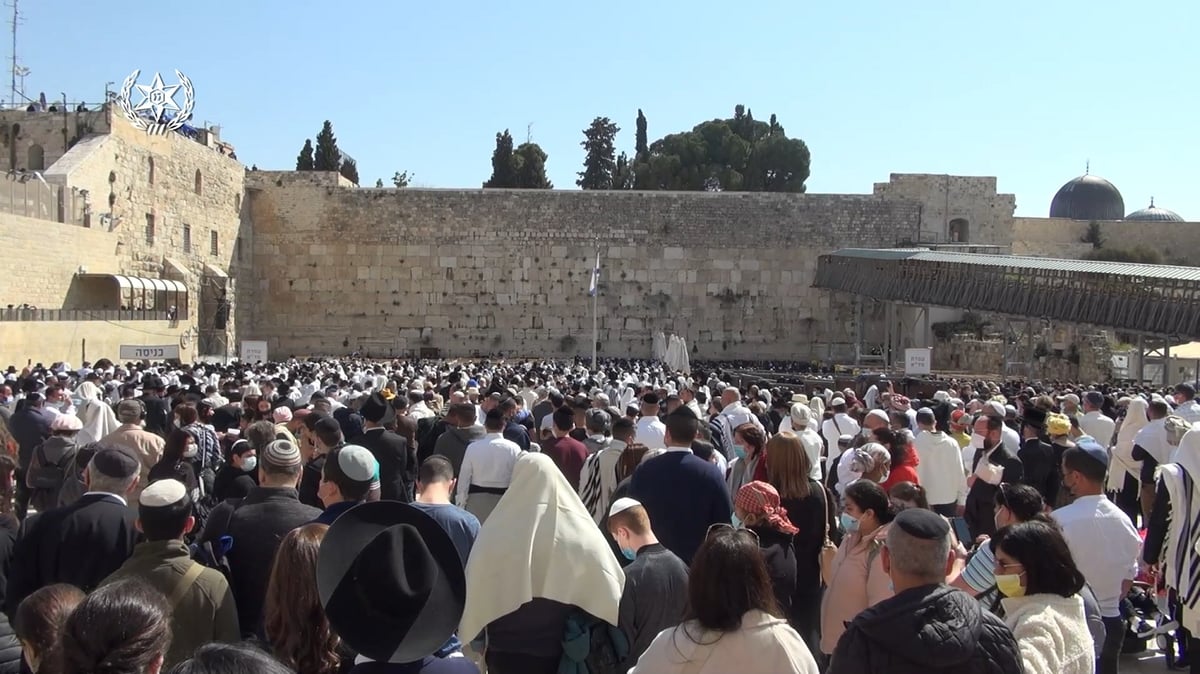 תיעוד מרהיב: 'ברכת הכהנים' בכותל המערבי