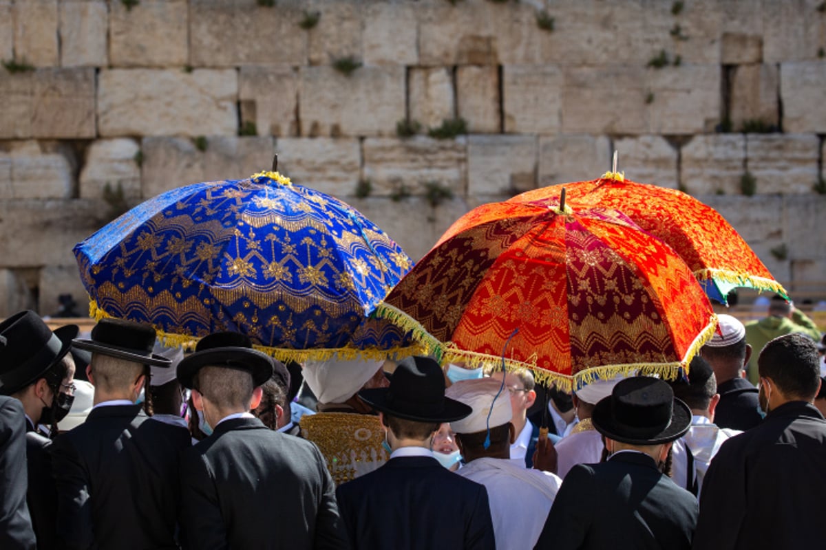 התחזית: קר עם עלייה קלה בטמפרטורות