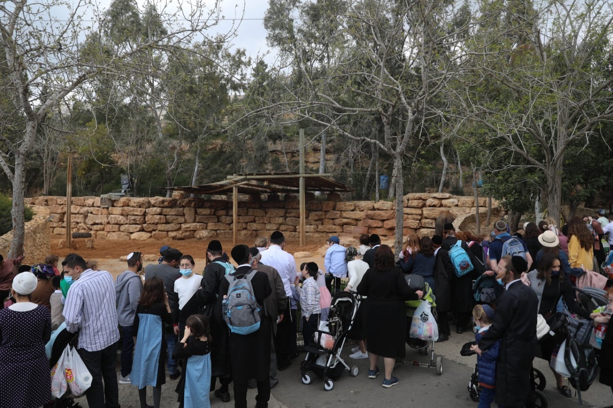 גן החיות התנ"כי - בפסח; תיעוד נדיר ומיוחד