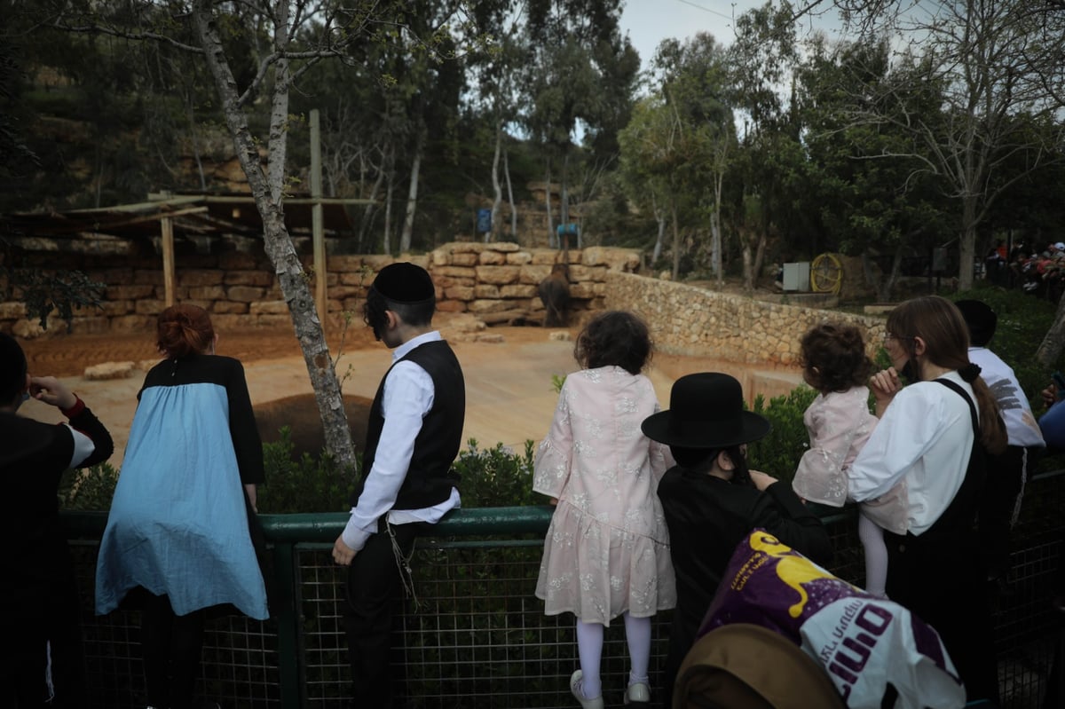 גן החיות התנ"כי - בפסח; תיעוד נדיר ומיוחד