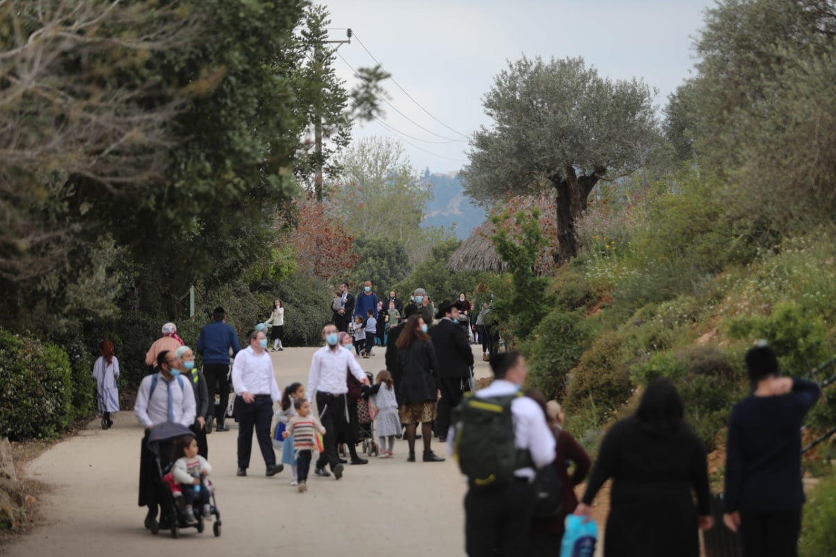 גן החיות התנ"כי - בפסח; תיעוד נדיר ומיוחד