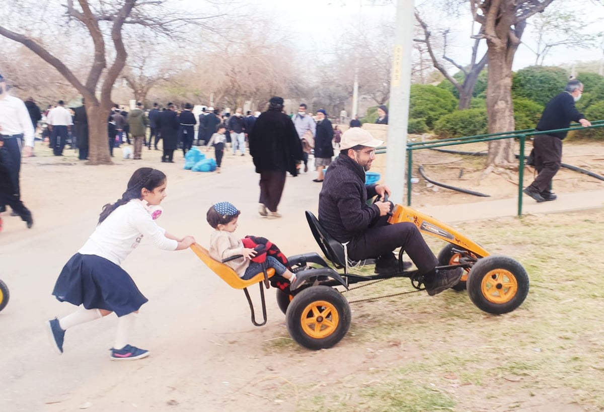 זופניק בכיכר • כל התמונות והנייעס של השבוע