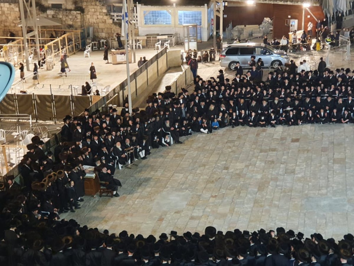 בראשות הרבי: חסידי ויז'ניץ כבשו את הכותל