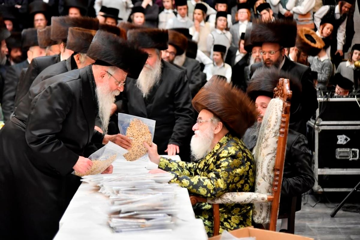 כשהאדמו"ר מויז'ניץ למד עם נכדו בבית המדרש