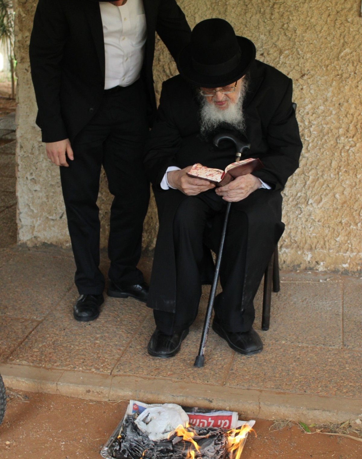 חבר 'המועצת' הוותיק, הגרמ"צ ברגמן בברכת האילנות