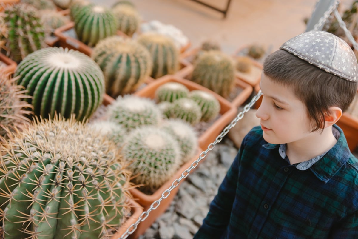 ברכת האילנות בגן הוותיק ביותר ברוסיה; צפו