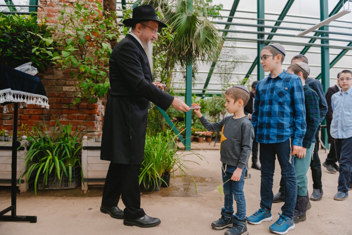 ברכת האילנות בגן הוותיק ביותר ברוסיה; צפו