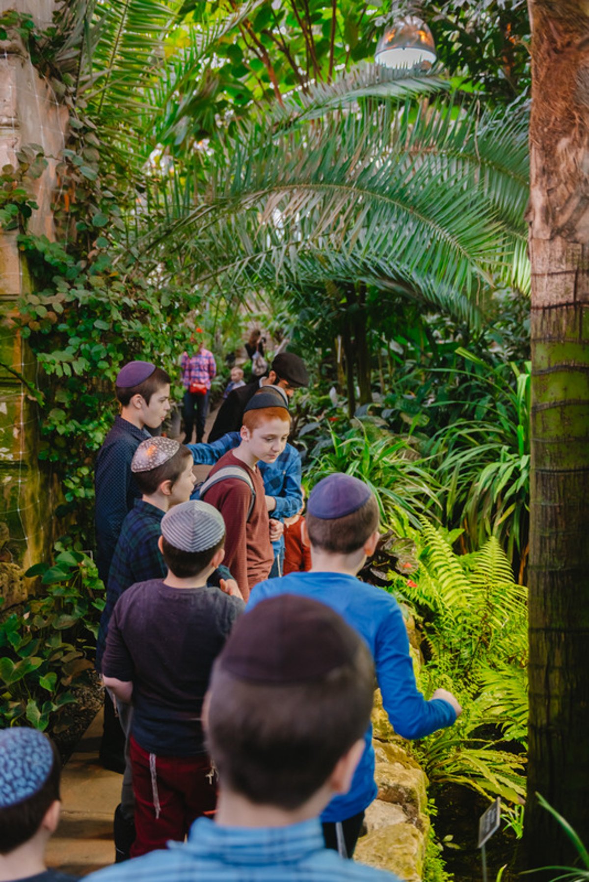 ברכת האילנות בגן הוותיק ביותר ברוסיה; צפו