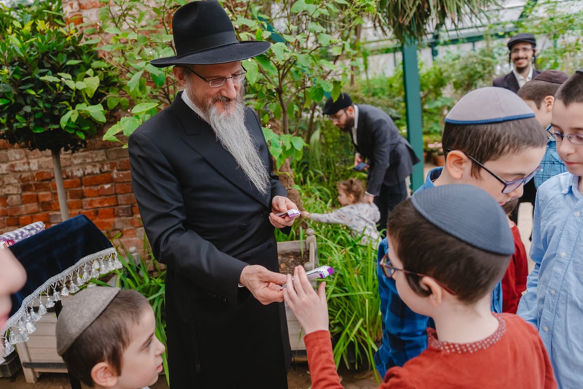 ברכת האילנות בגן הוותיק ביותר ברוסיה; צפו