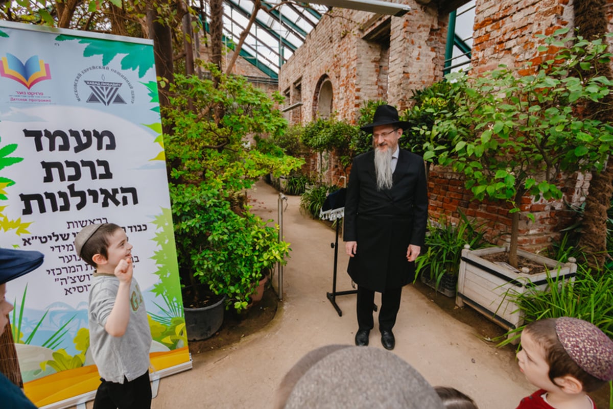 ברכת האילנות בגן הוותיק ביותר ברוסיה; צפו