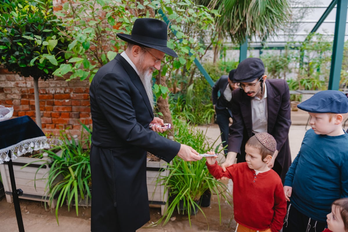 ברכת האילנות בגן הוותיק ביותר ברוסיה; צפו