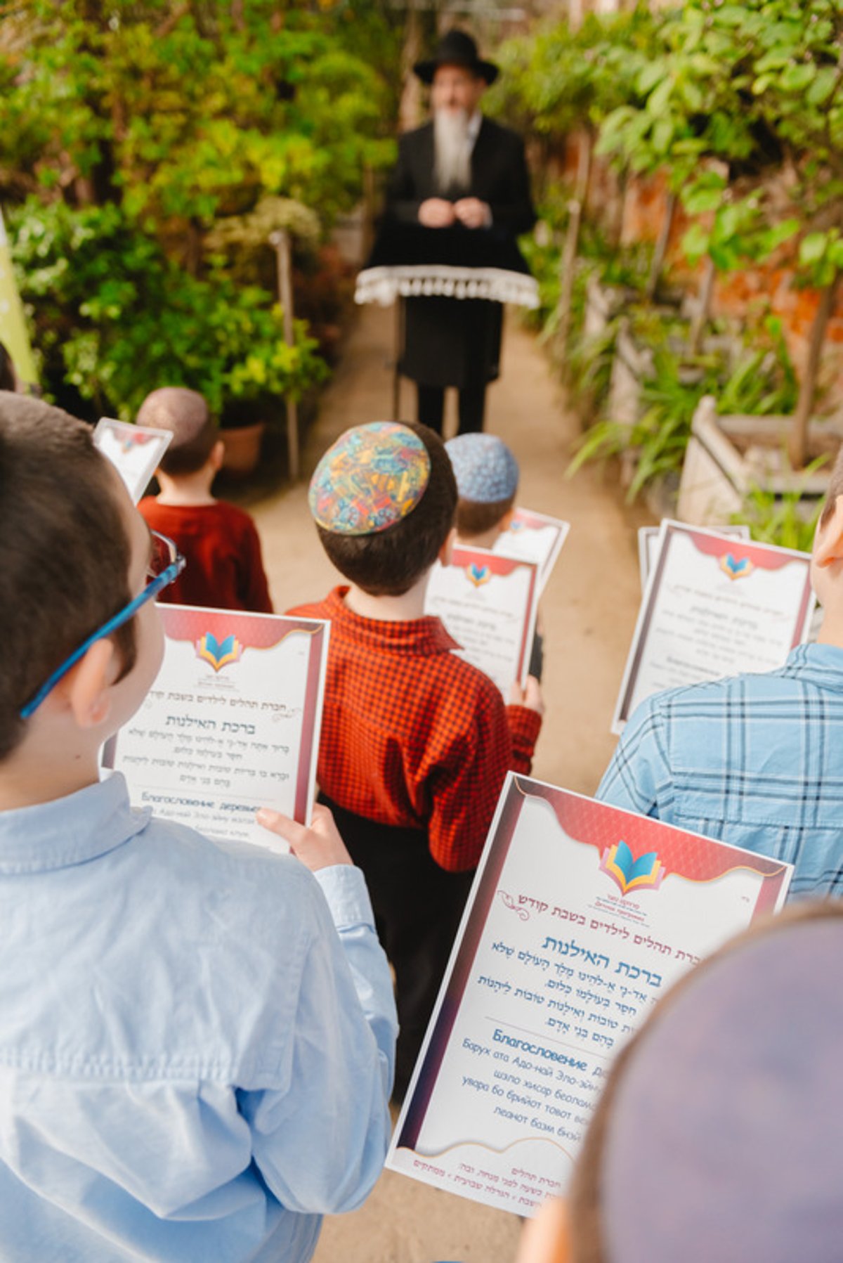 ברכת האילנות בגן הוותיק ביותר ברוסיה; צפו