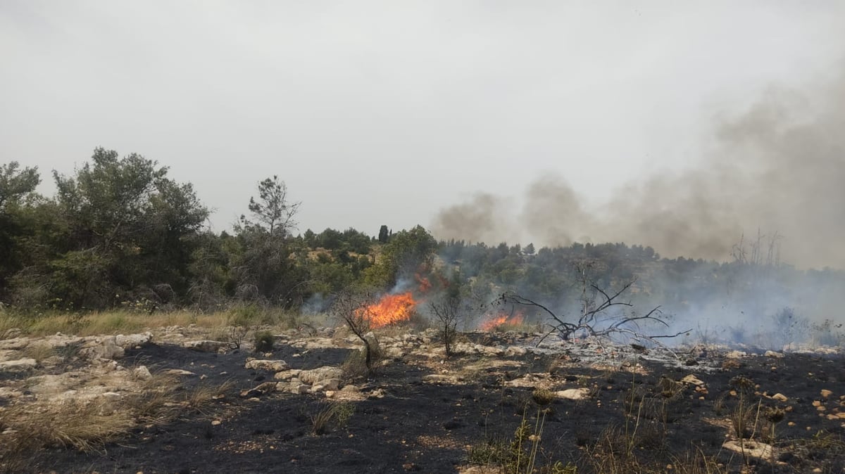 מטוסי כיבוי הוזנקו לשריפה באמפי פארק באלעד