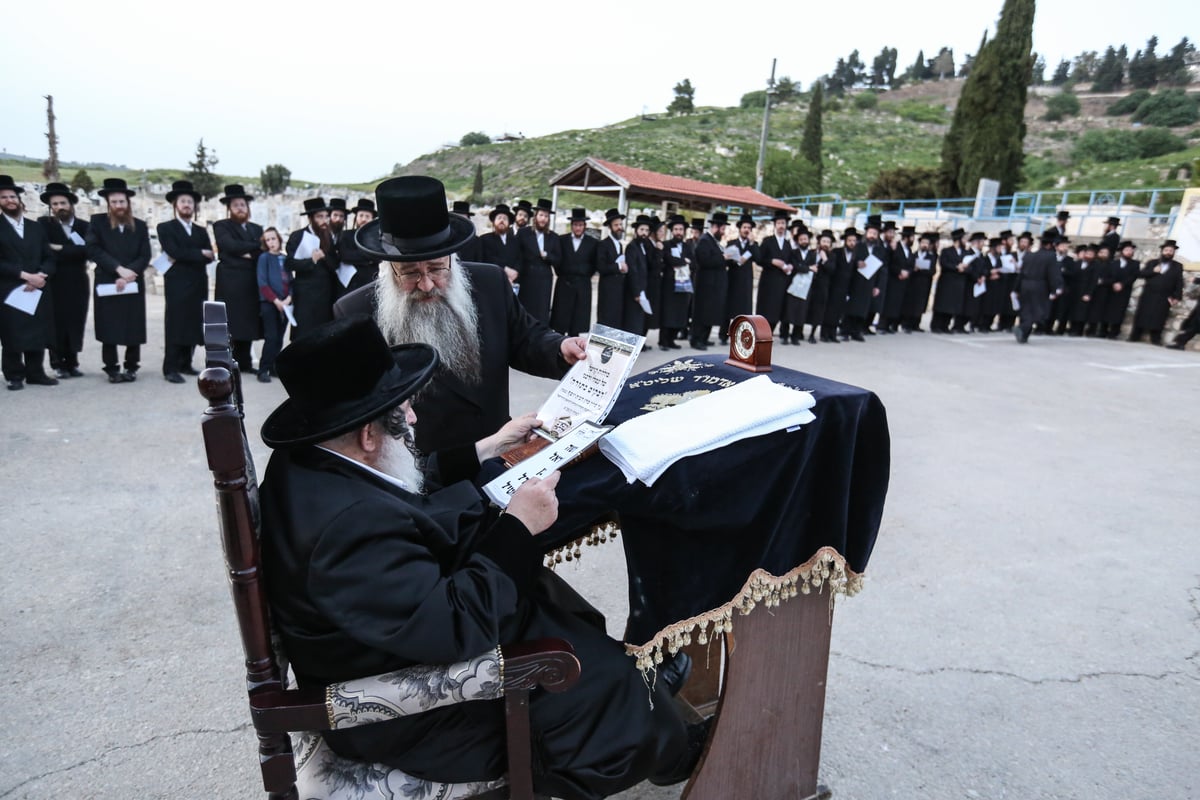 אברכי ויז'ניץ נבחנו על לימודי הוראה והתפללו בצפת