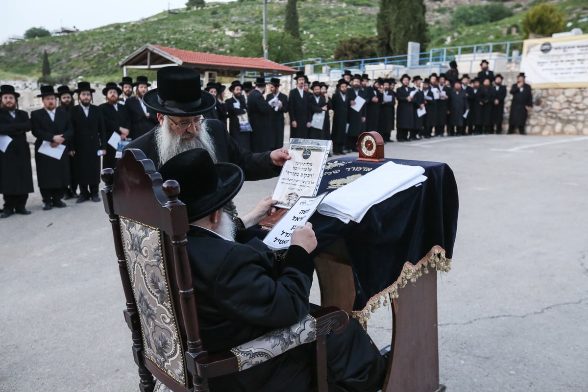 אברכי ויז'ניץ נבחנו על לימודי הוראה והתפללו בצפת