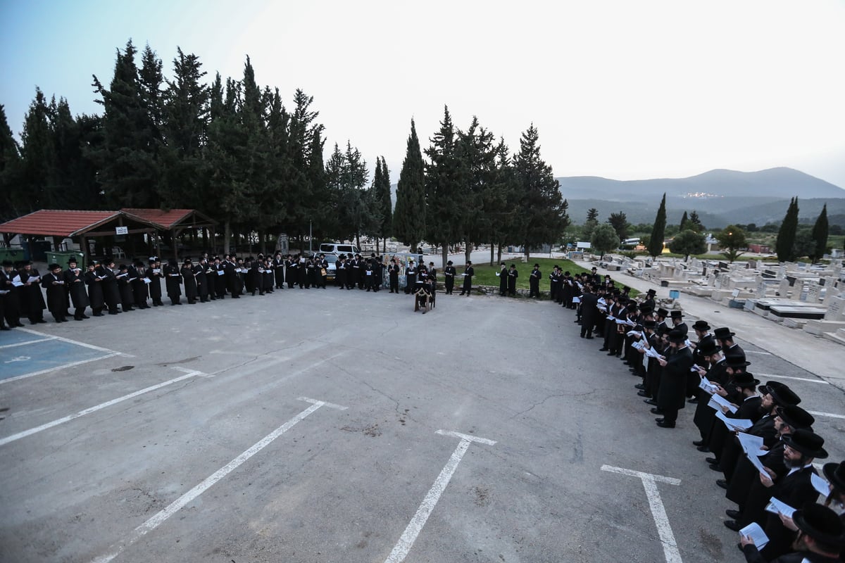 אברכי ויז'ניץ נבחנו על לימודי הוראה והתפללו בצפת