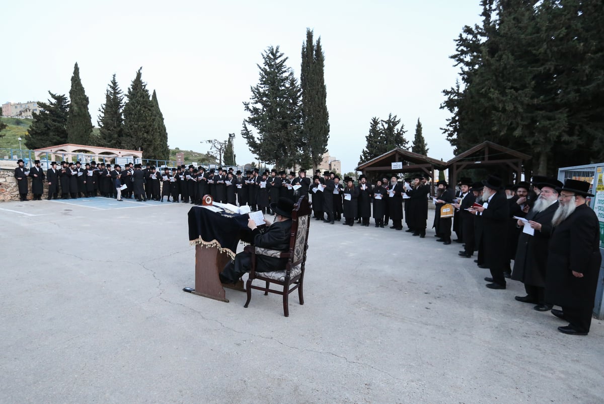 אברכי ויז'ניץ נבחנו על לימודי הוראה והתפללו בצפת