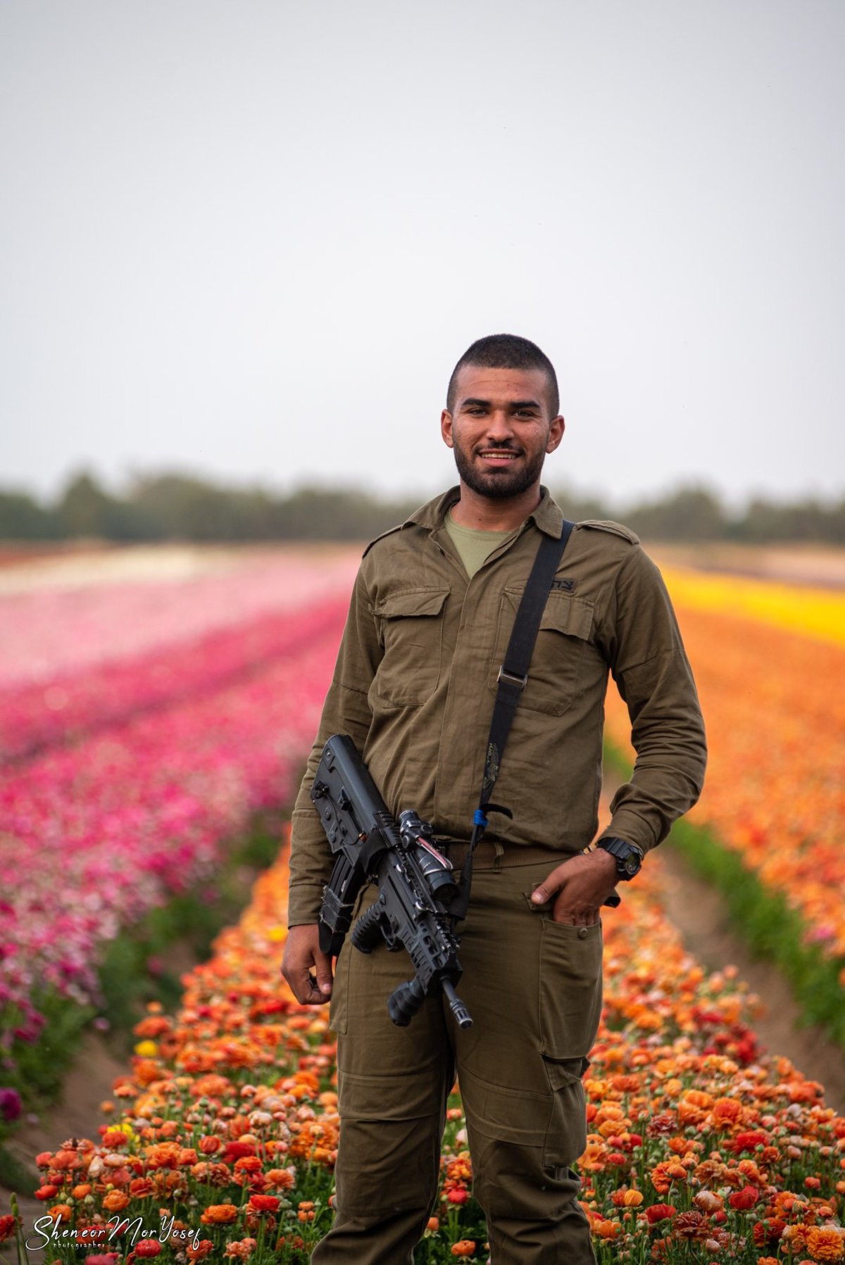 תיעוד עוצר נשימה: שדה נוריות פורח; צפו