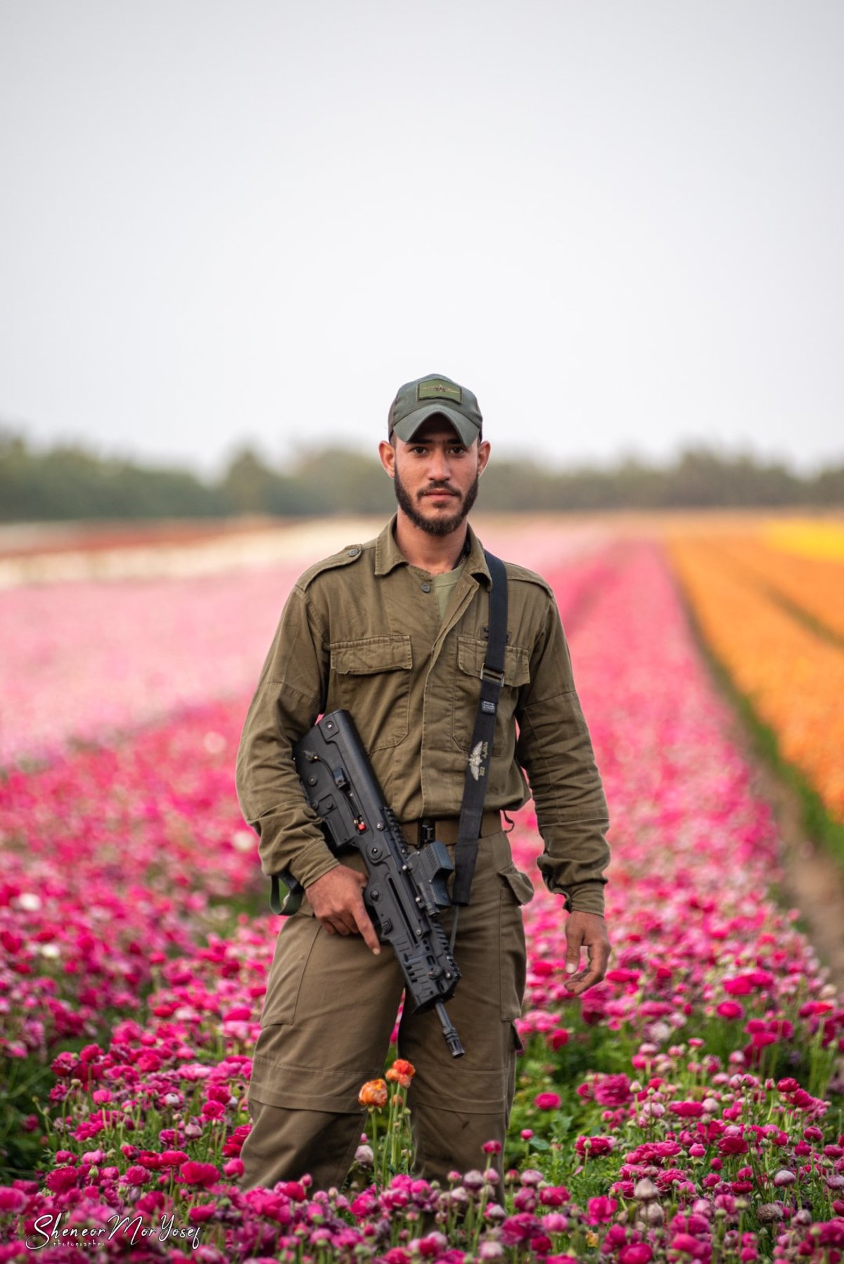 תיעוד עוצר נשימה: שדה נוריות פורח; צפו