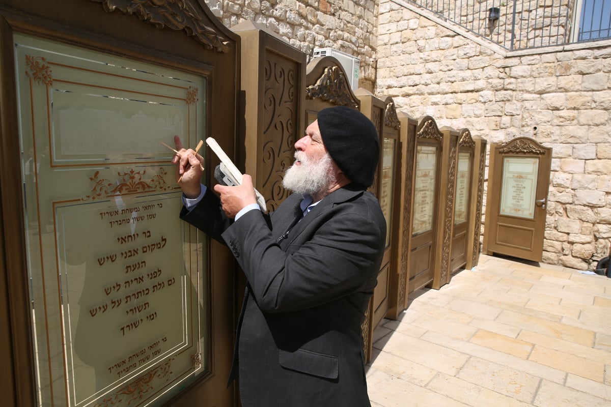 צפו: מחיצת הפרדה חדשה בחצר ציון הרשב"י