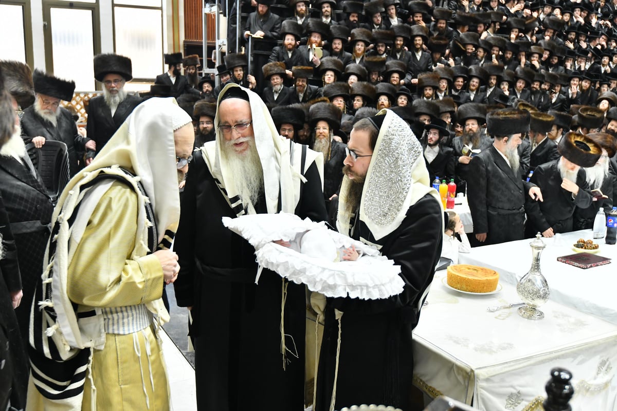 תיעוד: שמחת הברית לנין האדמו"ר מצאנז