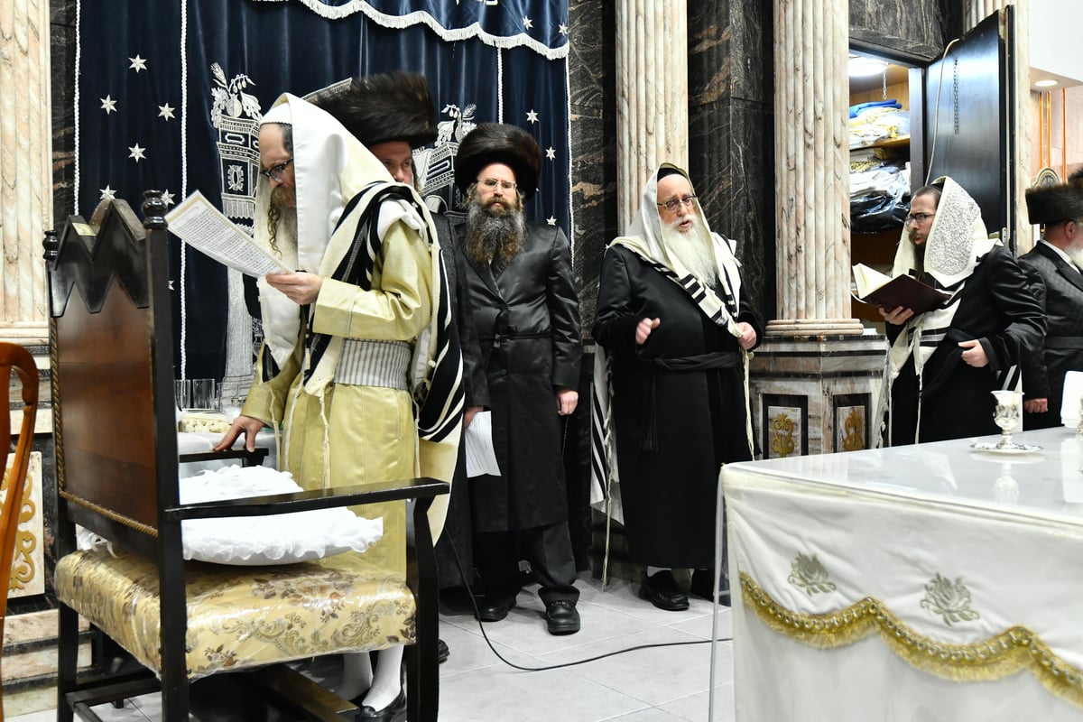 תיעוד: שמחת הברית לנין האדמו"ר מצאנז