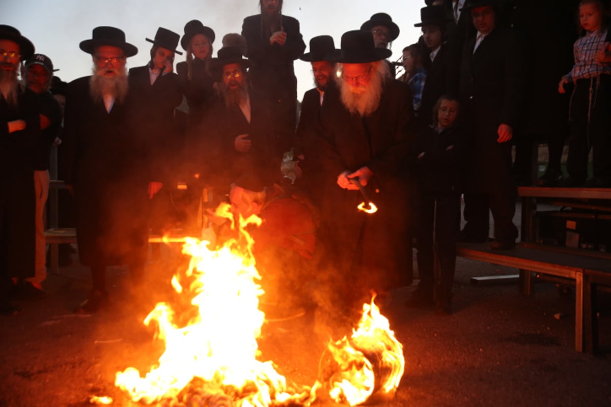 מירון, השנה