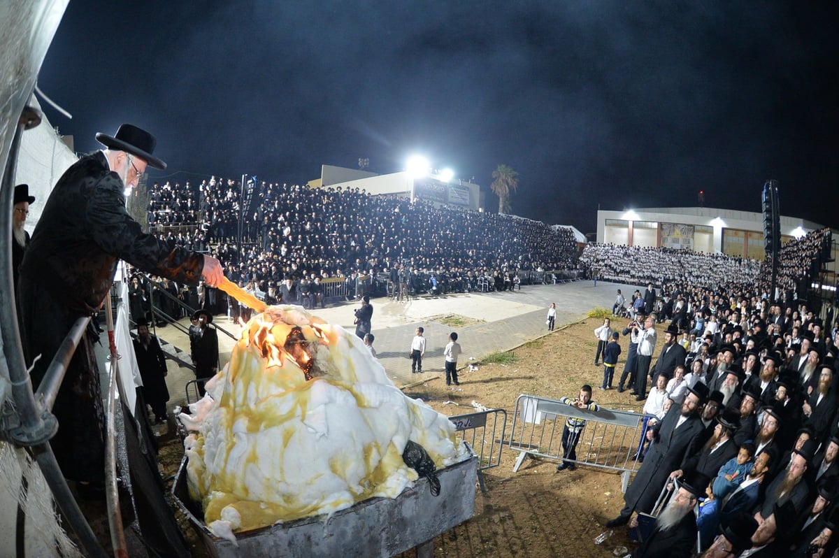 תיעוד: מראות ל"ג בעומר בחסידות צאנז