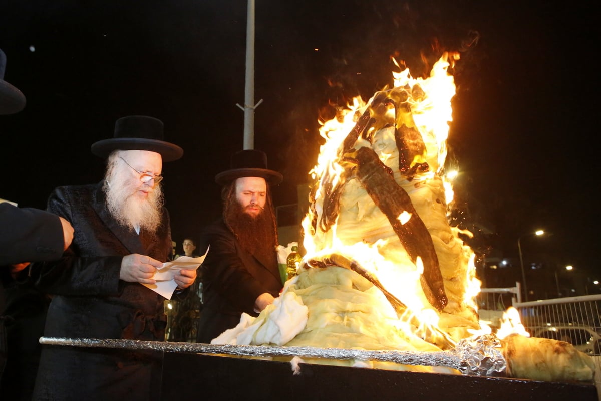 קאמארנא בבית שמש: הרבי קרא 'קוויטלאך' וערך 'טיש'