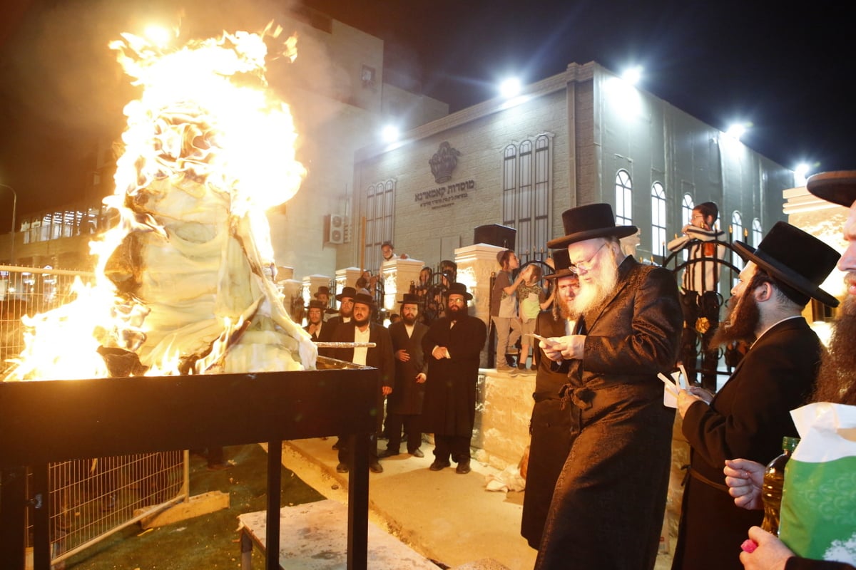 קאמארנא בבית שמש: הרבי קרא 'קוויטלאך' וערך 'טיש'