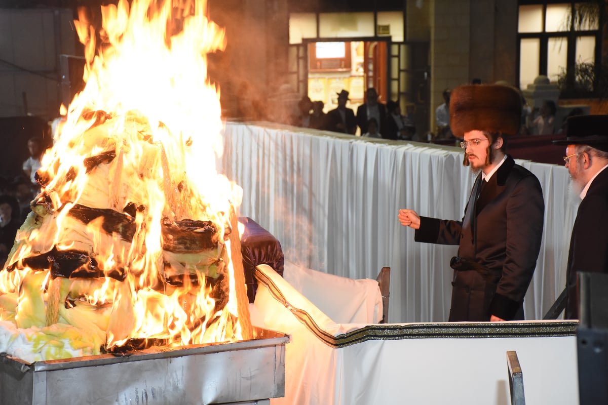 האדמו"ר מסאדיגורה ערך חלאקה לילדי חסידיו