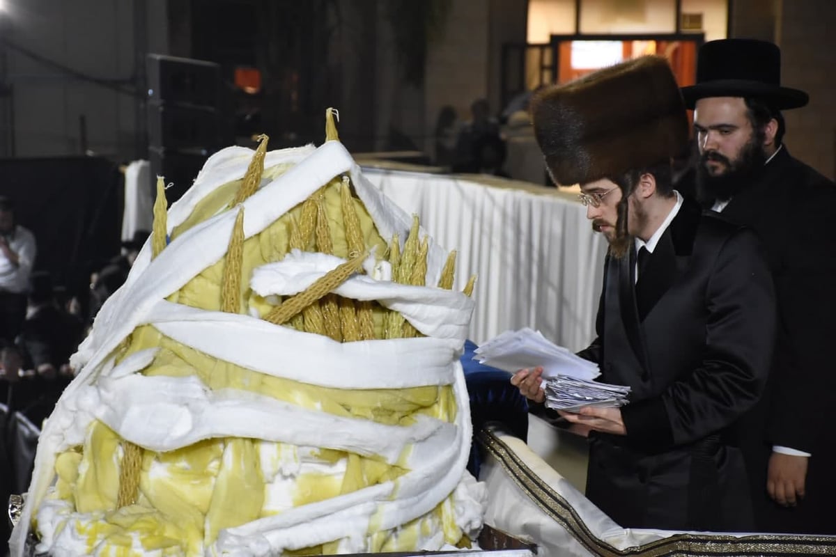 האדמו"ר מסאדיגורה ערך חלאקה לילדי חסידיו