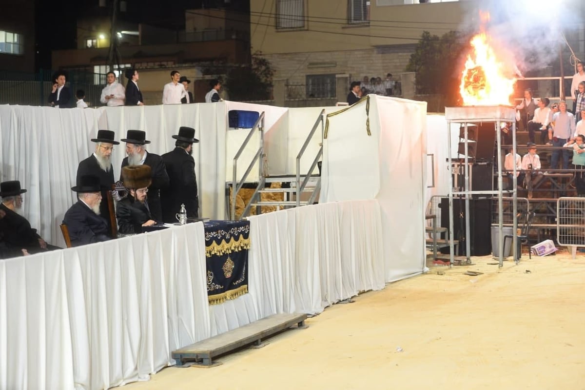 האדמו"ר מסאדיגורה ערך חלאקה לילדי חסידיו