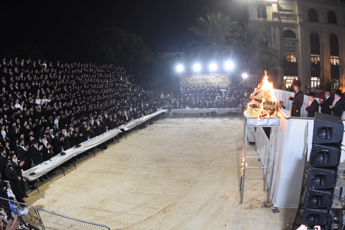 האדמו"ר מסאדיגורה ערך חלאקה לילדי חסידיו