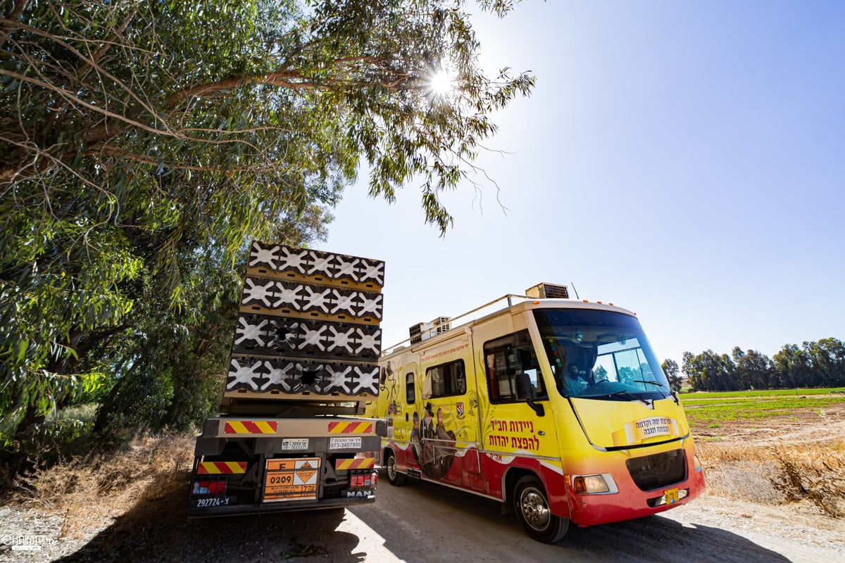 כך פעלו הטנקיסטים של חב"ד בחזית • תיעוד