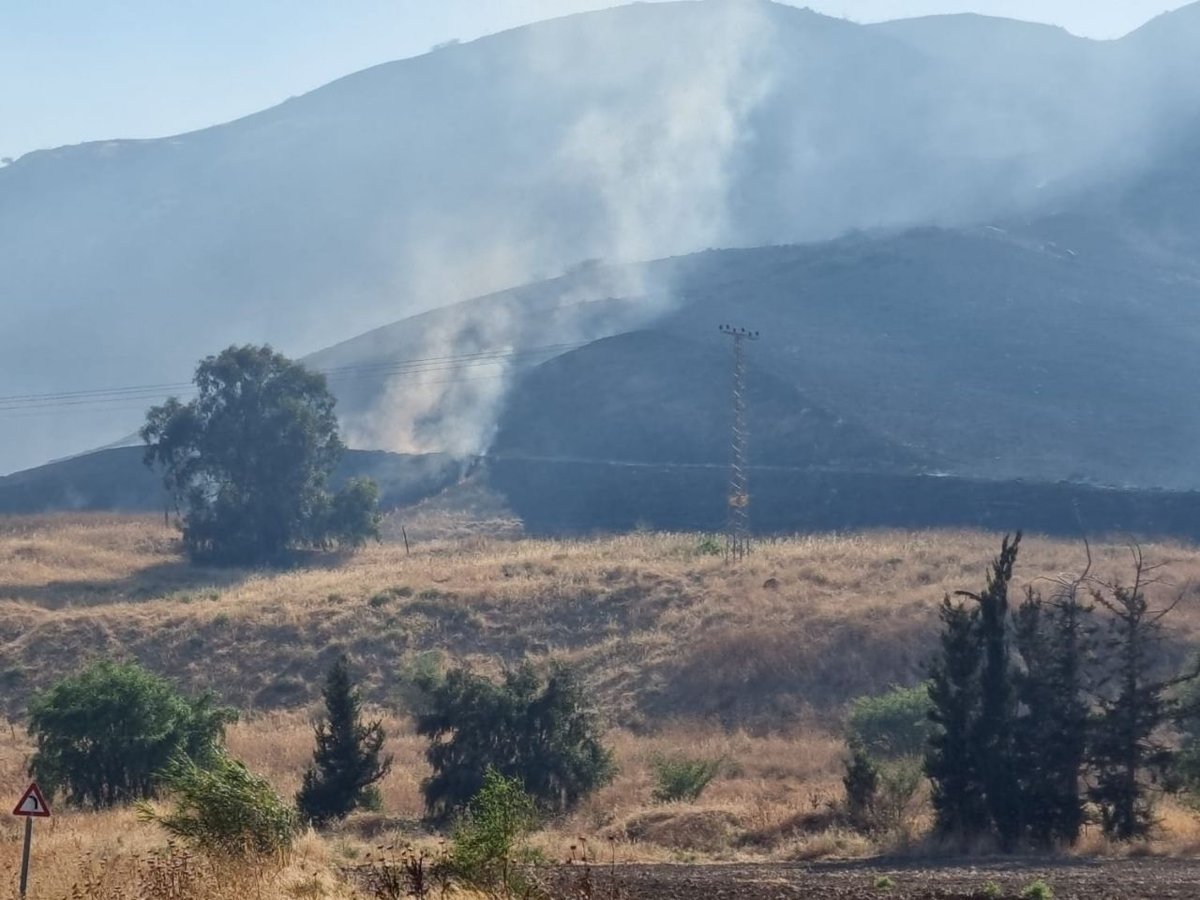 שריפה בכביש 90: הוזנקו 4 מטוסי כיבוי • צפו