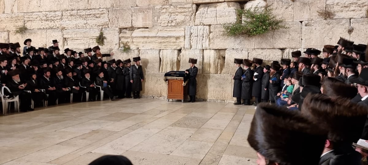 בראשות הרבי: חסידי סאדיגורה התפללו ושרו בכותל המערבי • תיעוד