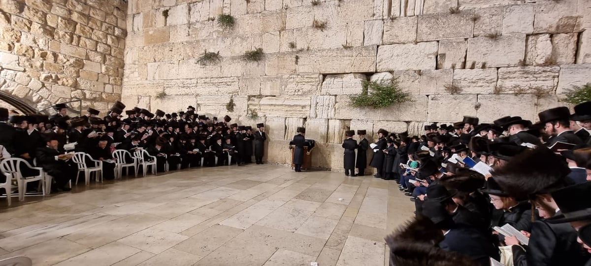 בראשות הרבי: חסידי סאדיגורה התפללו ושרו בכותל המערבי • תיעוד